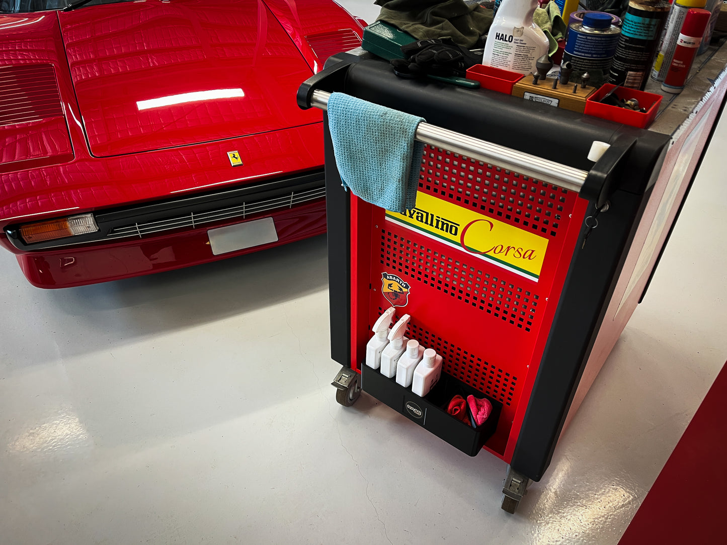 Auto GLYM Shine Rack